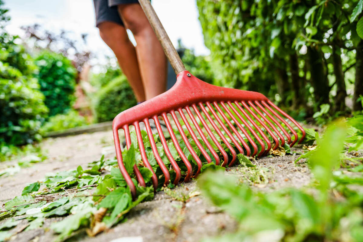 De tuin schoonharken