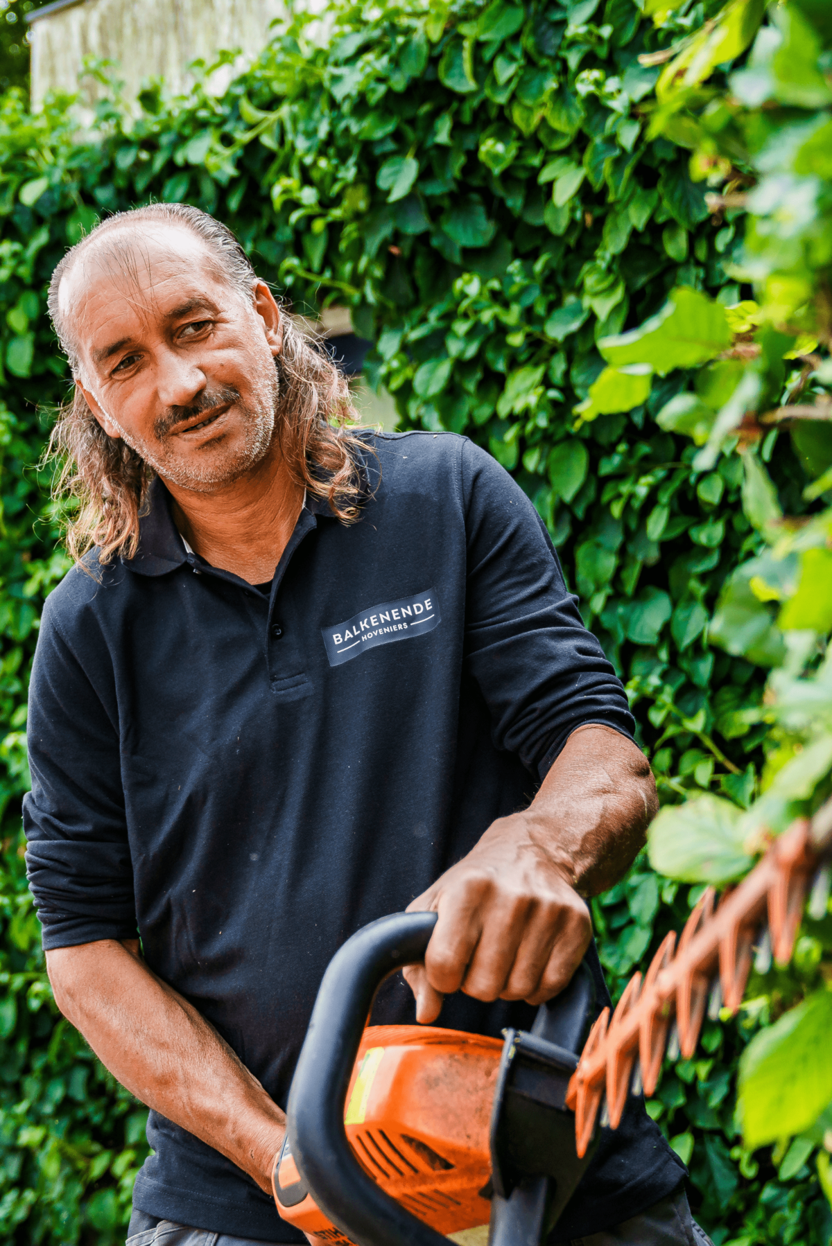 Expert Gert - Snoeien haag