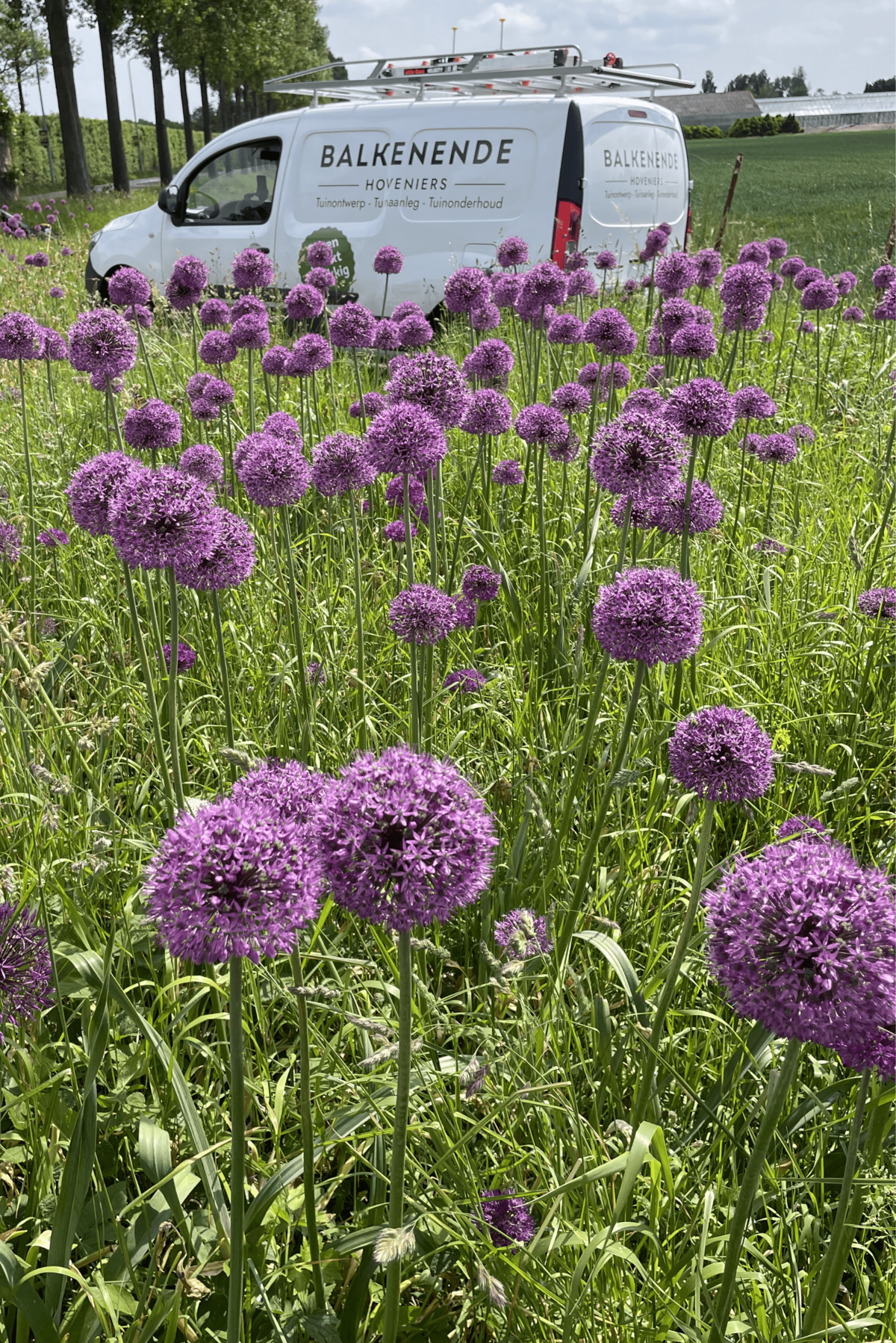 Diverse planten voor een Balkenende Hoveniers bus