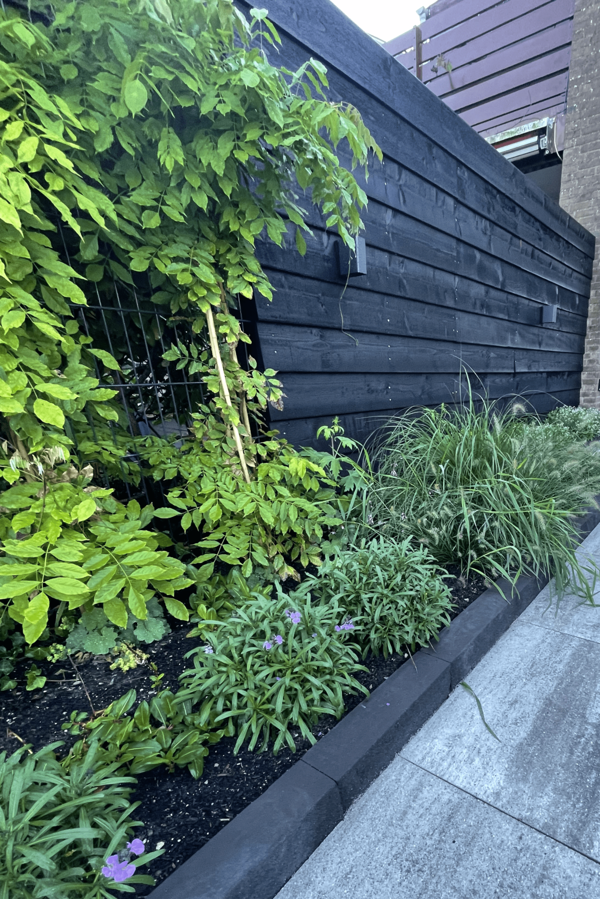 Border vol beplanting in stadstuin