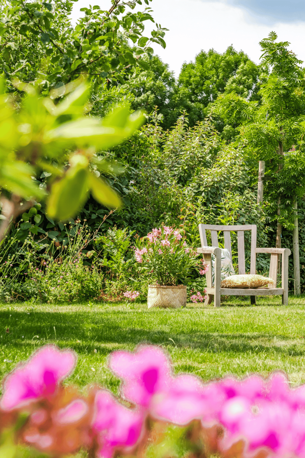 Houten stoel in natuurvriendelijke tuin