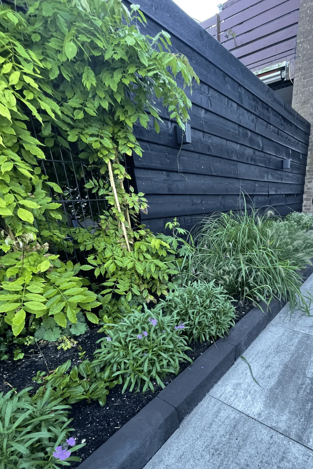 Border vol beplanting in stadstuin