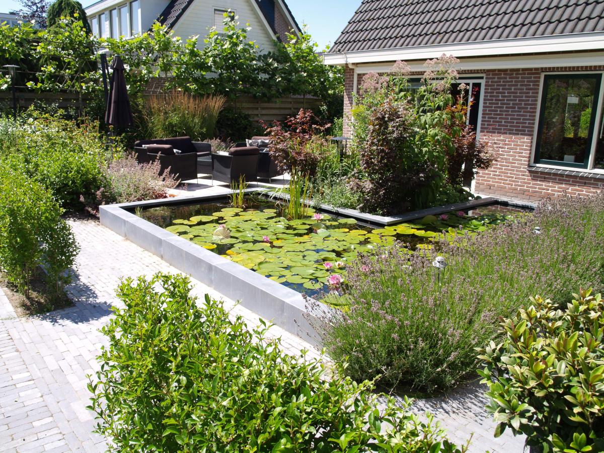 Natuurlijke vijver in de tuin